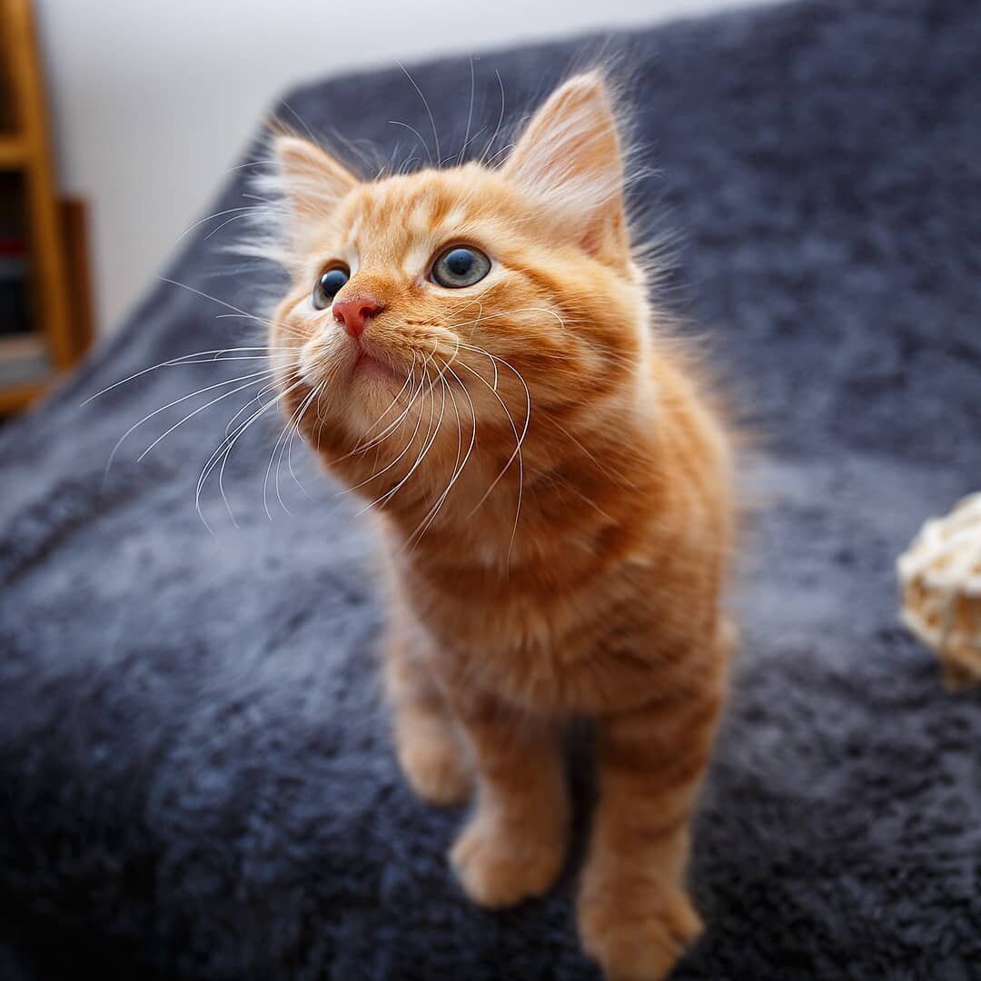 Фото из открытых источников интернета