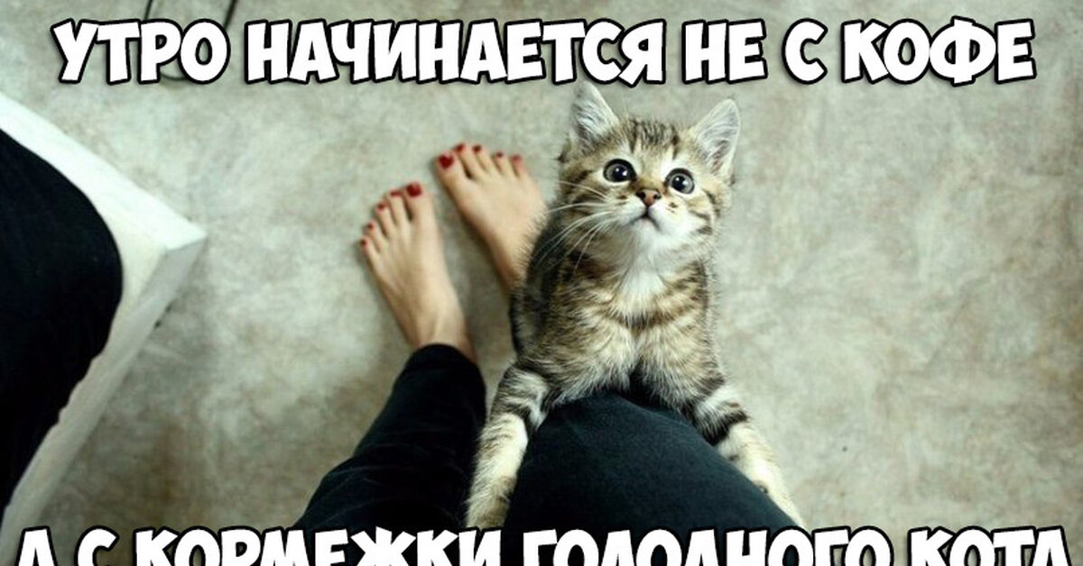 Изображение взято из открытых источников Яндекс Картинки