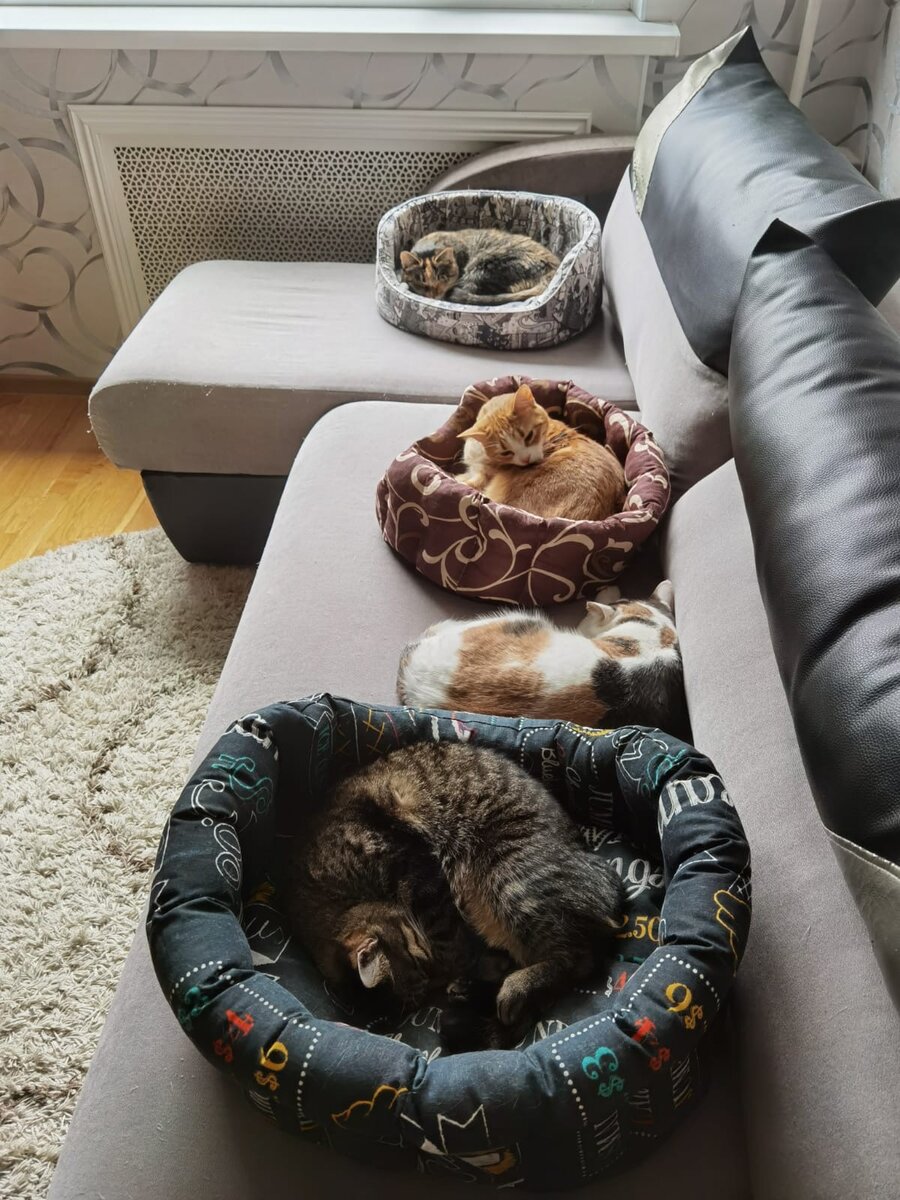 Мила отдыхает