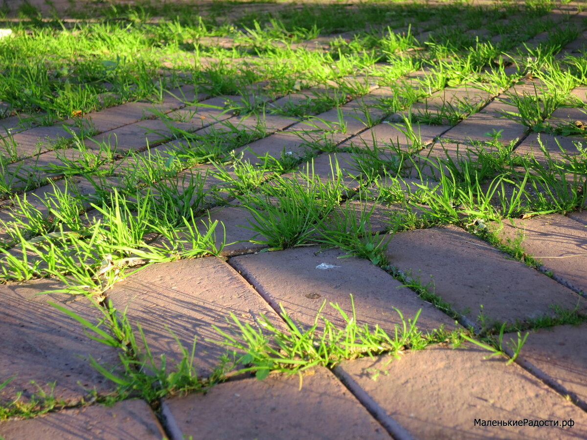 Добавьте описание