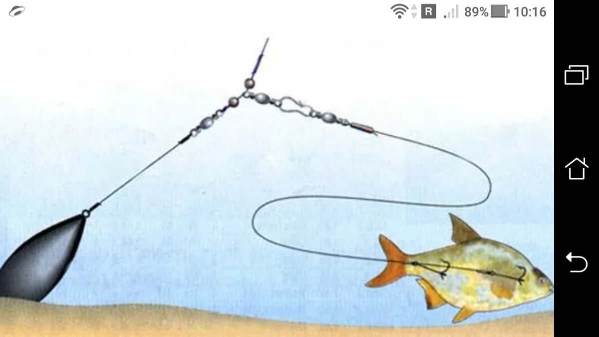 фото Какой длины делать поводок при ловле на донку на живца