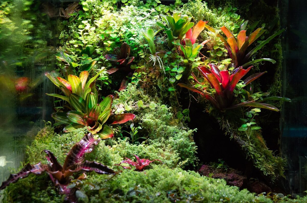 Источник фото vk