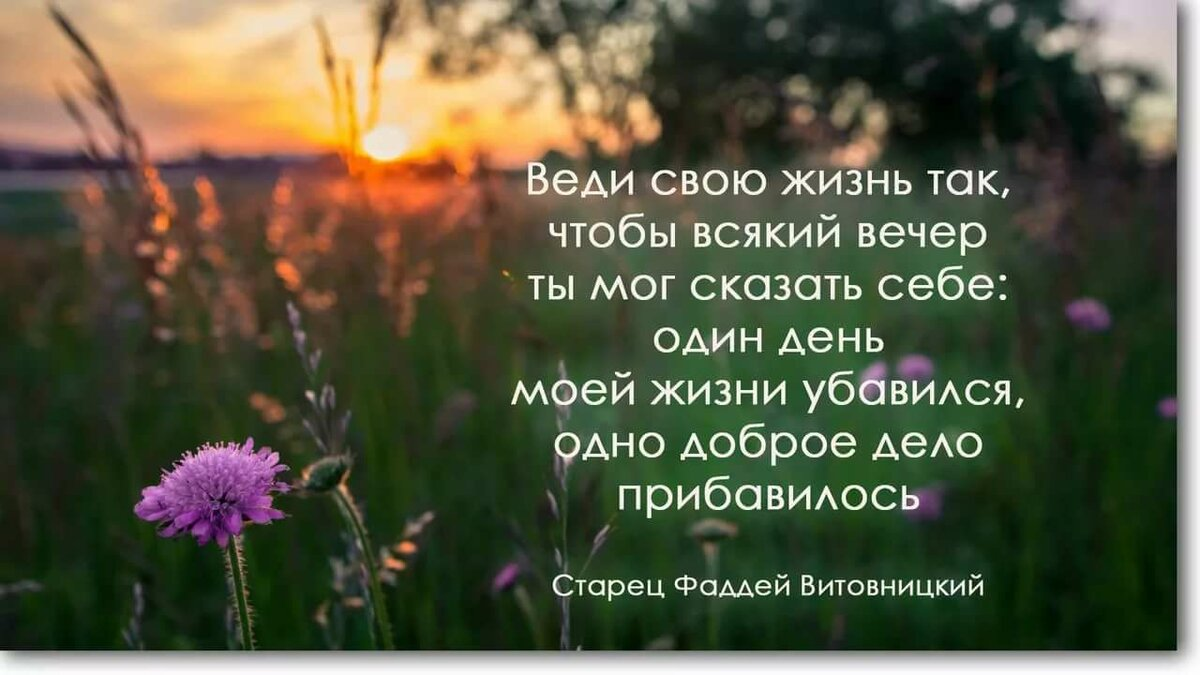 В каждом дне есть что то. Умные мысли и высказывания. Мудрые мысли на каждый день. Красивые добрые высказывания. Красивые добрые цитаты