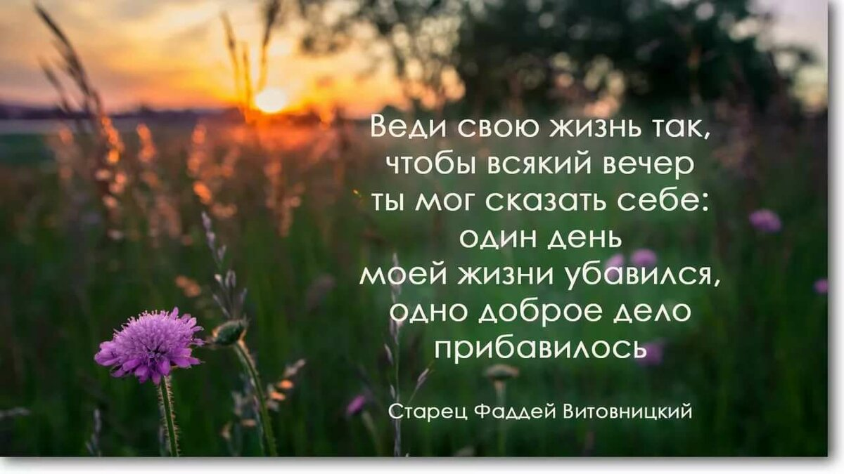 Прекрасный день с мудростью. Умные мысли и высказывания. Мудрые мысли на каждый день. Красивые добрые высказывания. Красивые добрые цитаты.