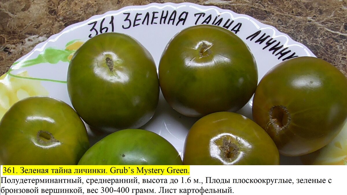 Сорт томатов тайна зеленой личинки. Томат зеленая тайна личинки.