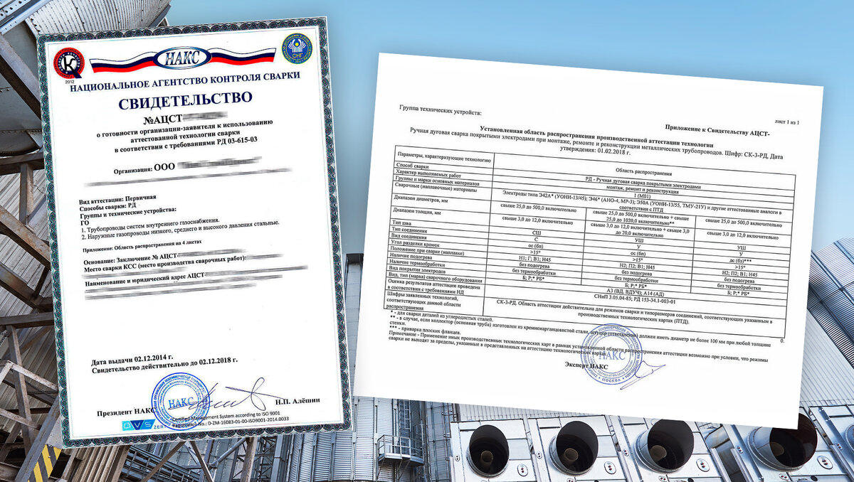 Примеры выдаваемых документов