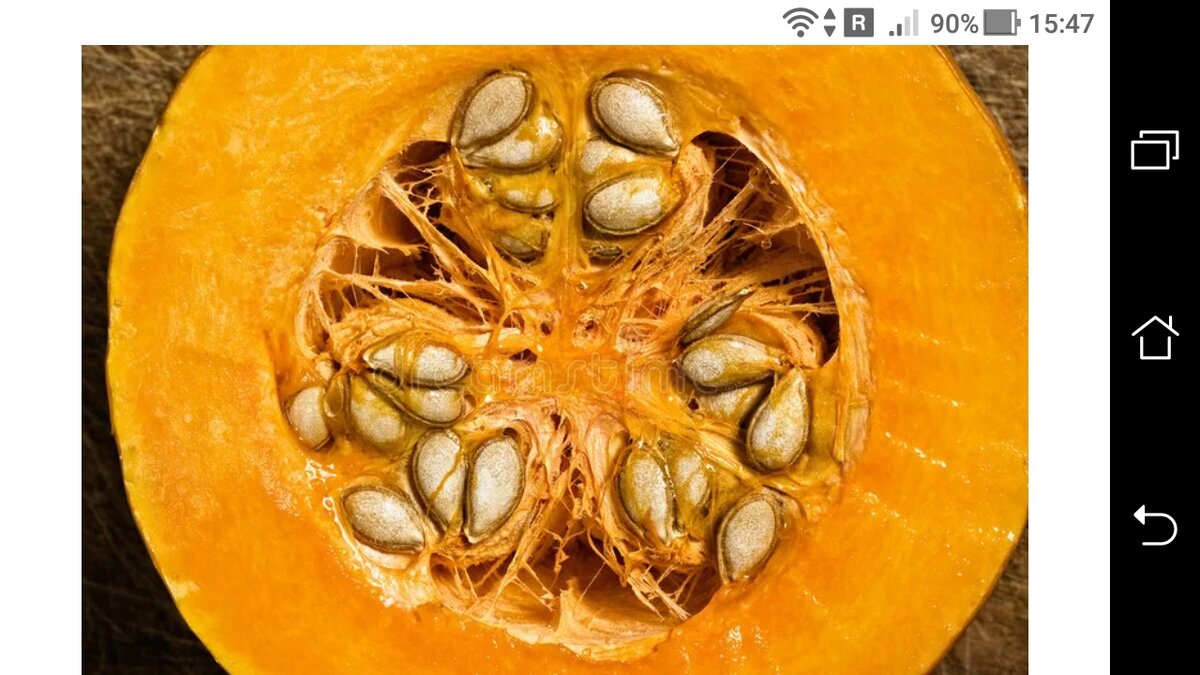 фото внутренности тыквы