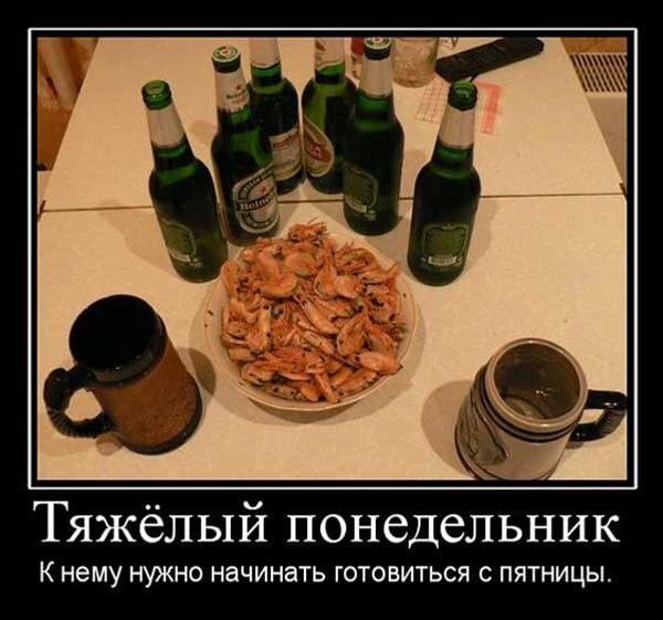 Из открытых источников: Яндекс. Картинки