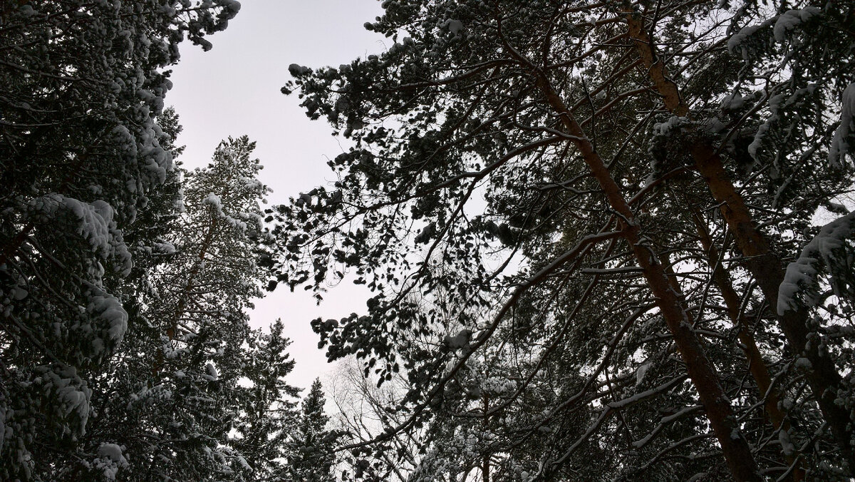 Пасмурное небо.