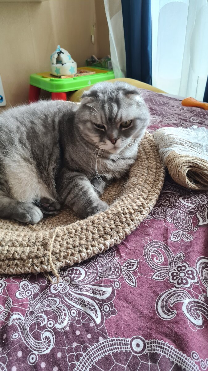 Стоило отвлечься от вязания, как Неся тут, как тут! 😼