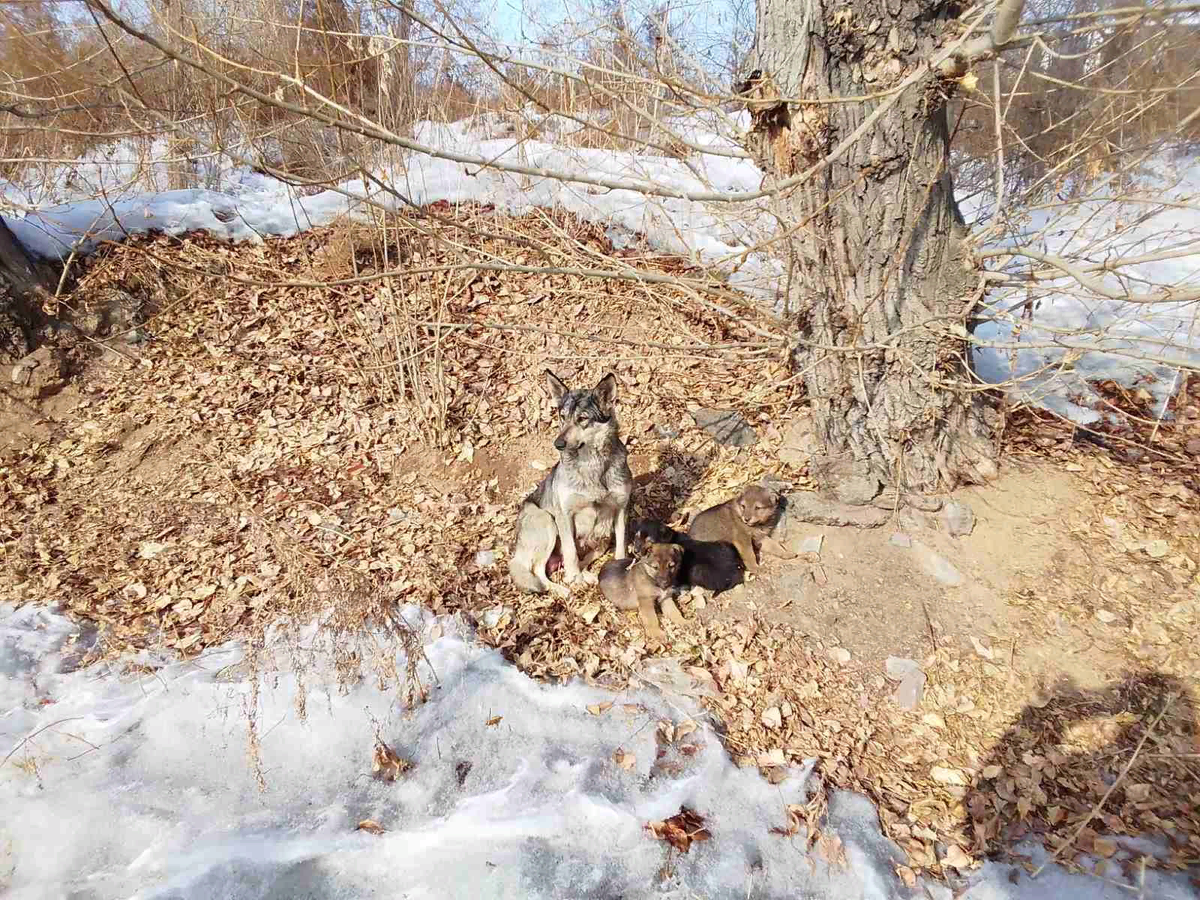 У них нет имён, но они также хотят жить