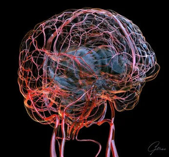 И питается соответствующе.