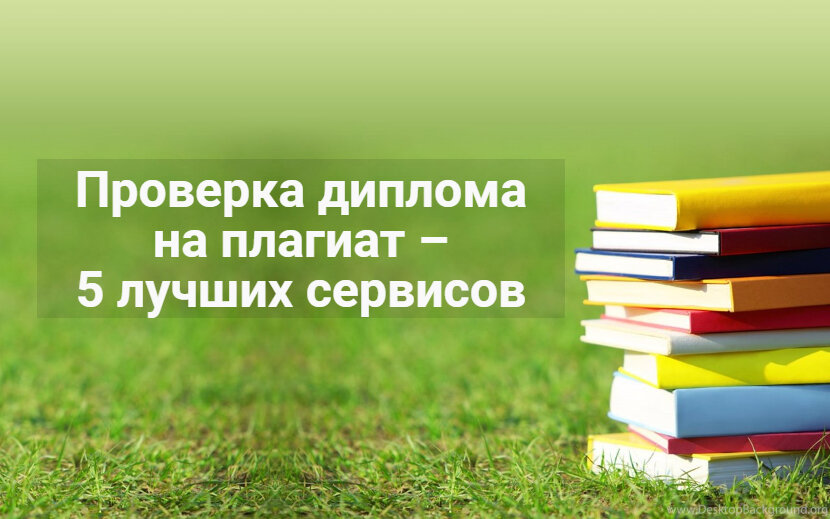 проверка диплома на плагиат