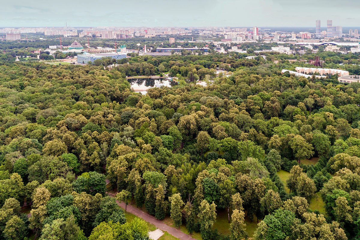 Ботанический парк имени Цицина