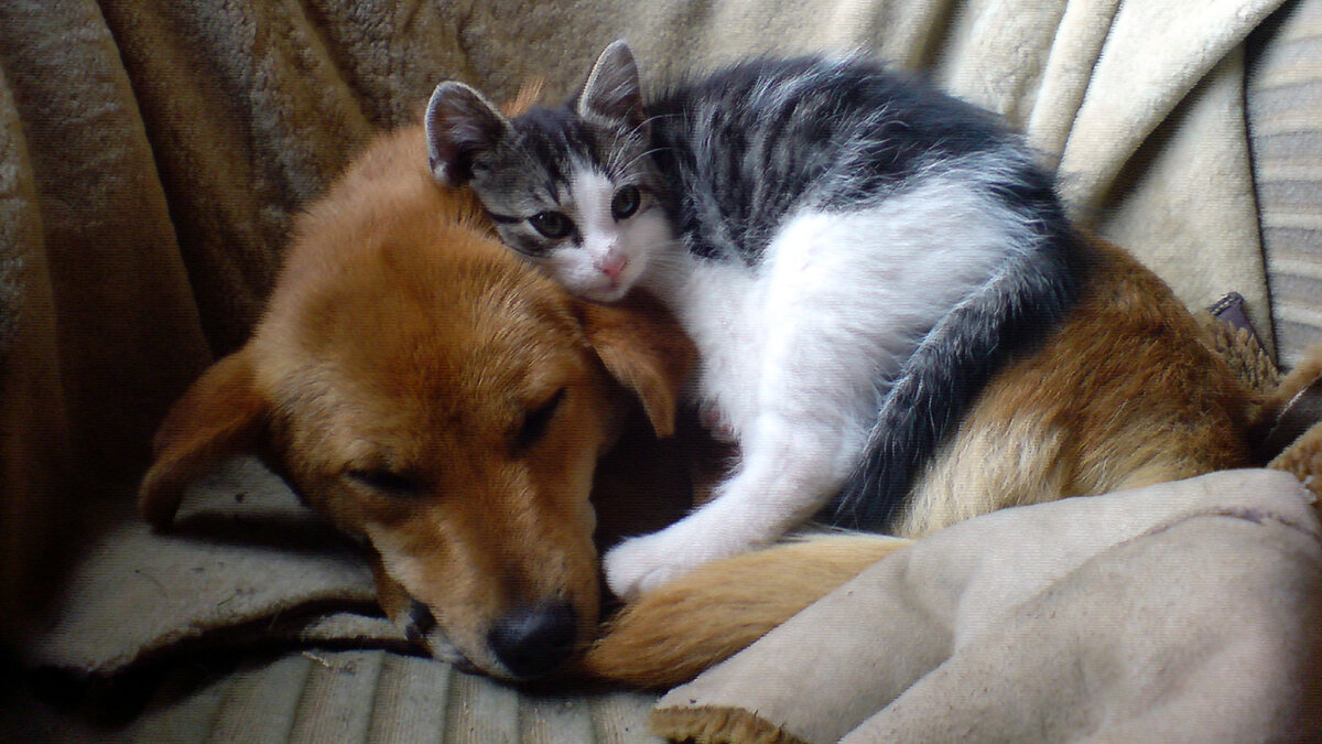 источник фото: img-fotki.yandex.ru