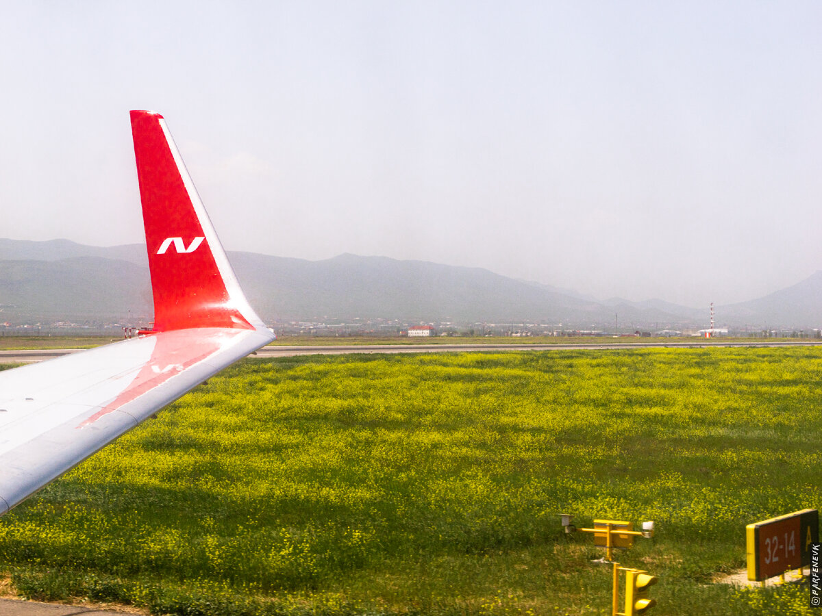 По прилету в аэропорт Махачкалы нас встречает рапсовое поле