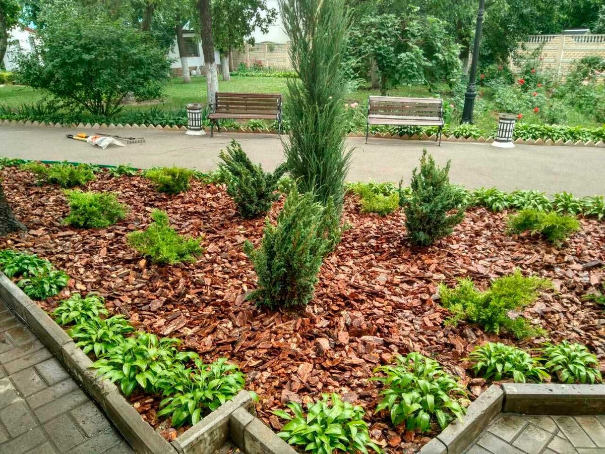 Фото из яндекс картинки