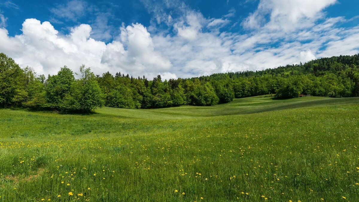 Все когда-нибудь заканчивается...