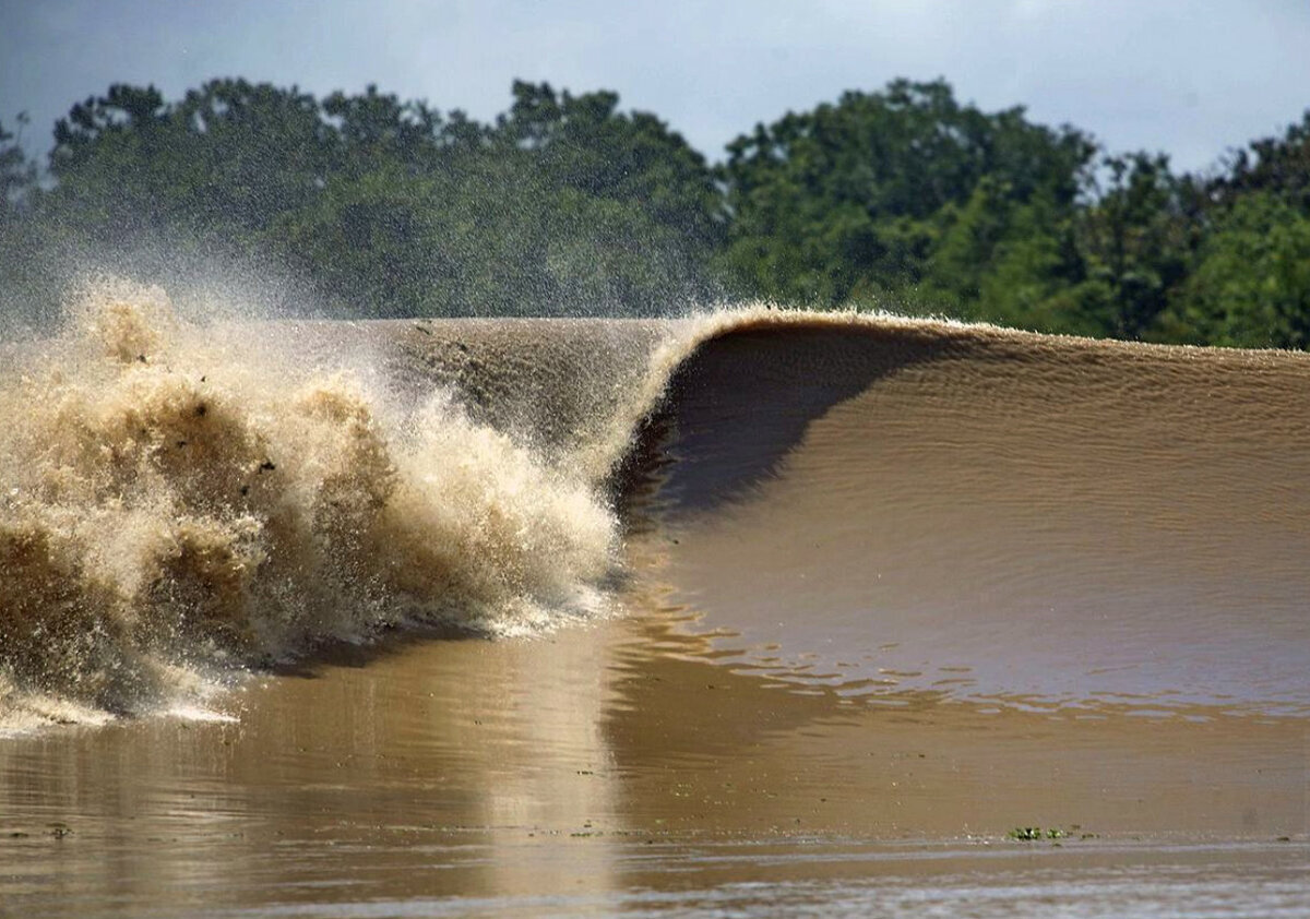Потоки воды неслись по усыпанному. Явление Поророка на Амазонке. Поророка. Явления Поророка на Амазонке образуются в результате тайфунов. Поророка амазонки фото.