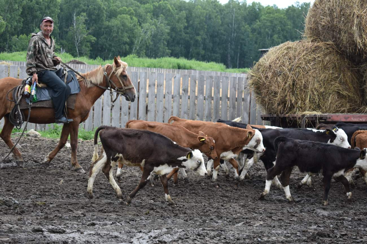 Только такой многие представляют деревню