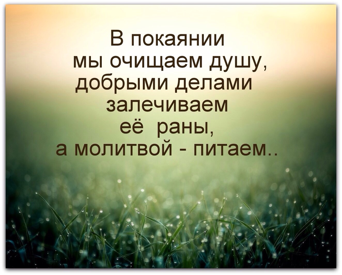 Мудрые высказывания. Христианские высказывания. Мудрые христианские высказывания. Мудрость Христианская. Высказывания про душу