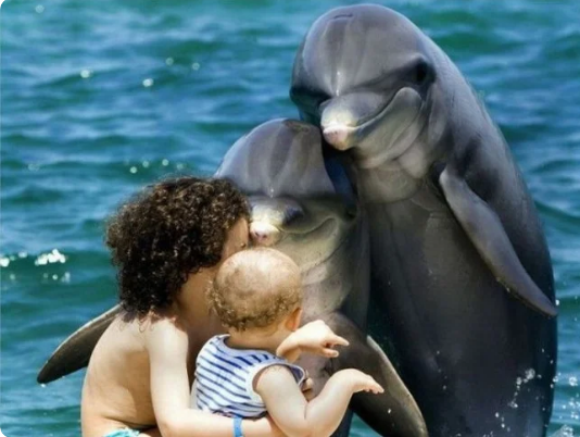 картинки из общего доступа в инете