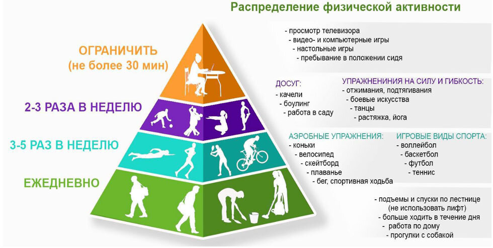 Пирамида активности