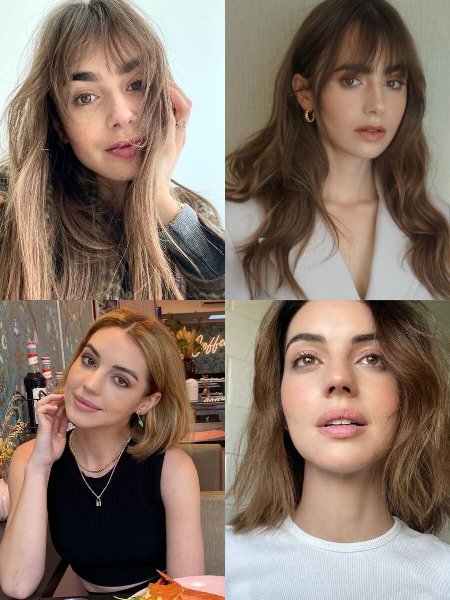 наверху- Лили, внизу- Аделаида