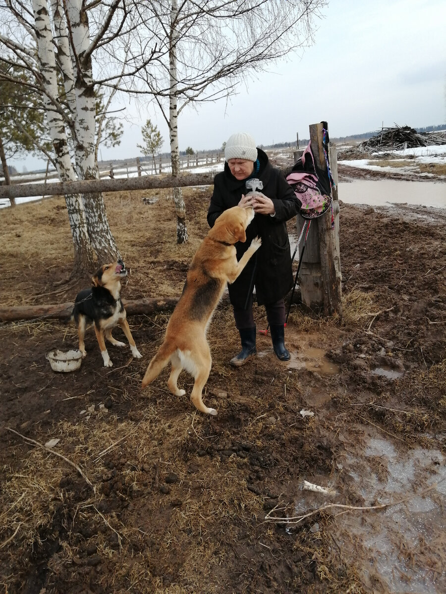 И так каждый день... 