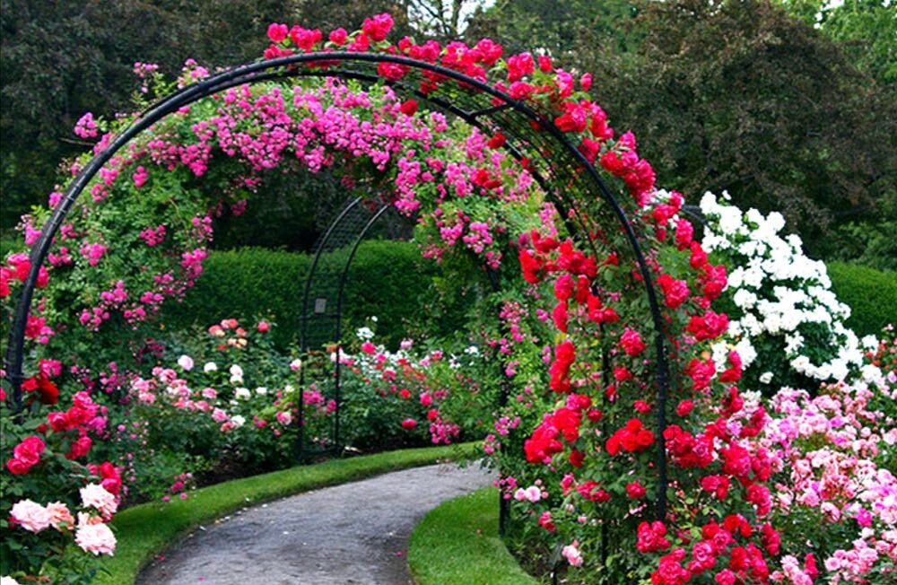 Арка - невероятно красивый , обычно центральный элемент ландшафтного дизайна