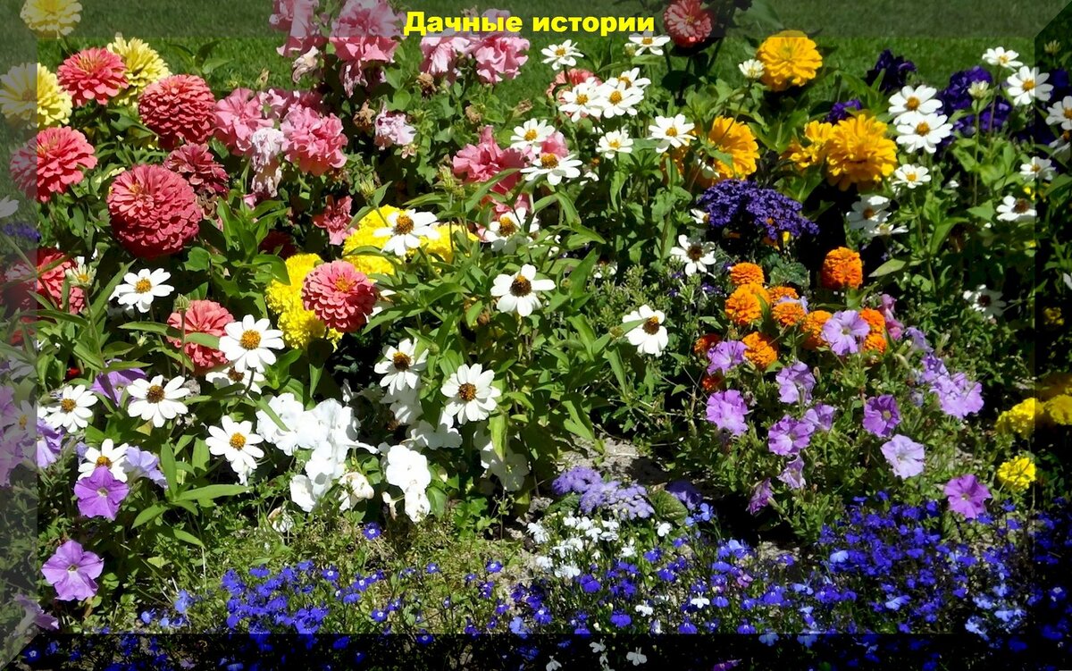 https://vk.com/photo-159774511_457253856