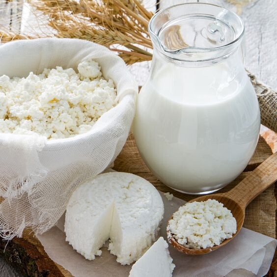 Самые главные по усвоению белка