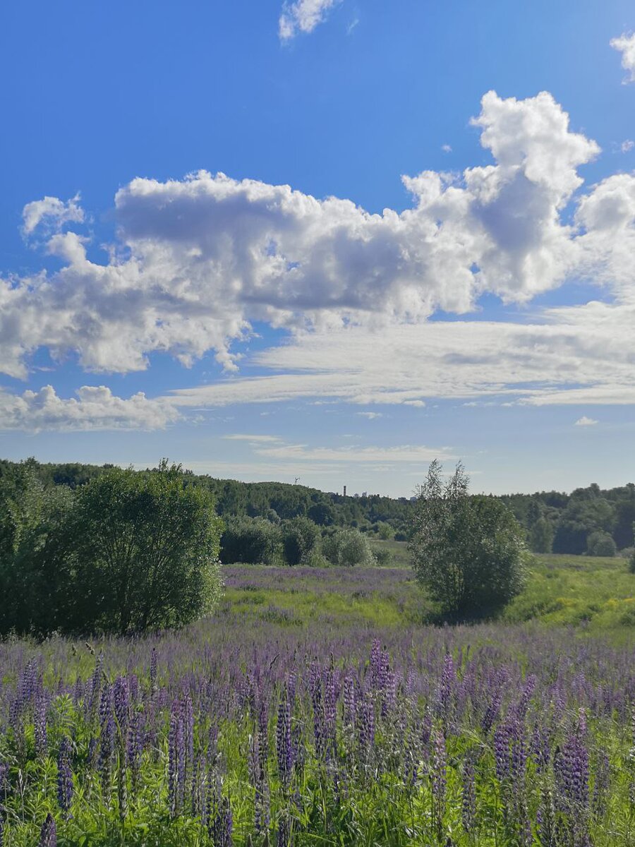 Синева лета!