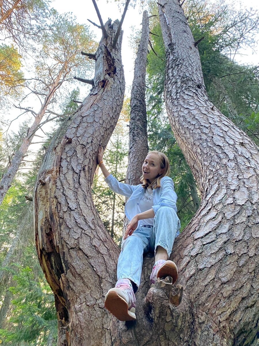 Дерево-трон, только нужно забраться на него