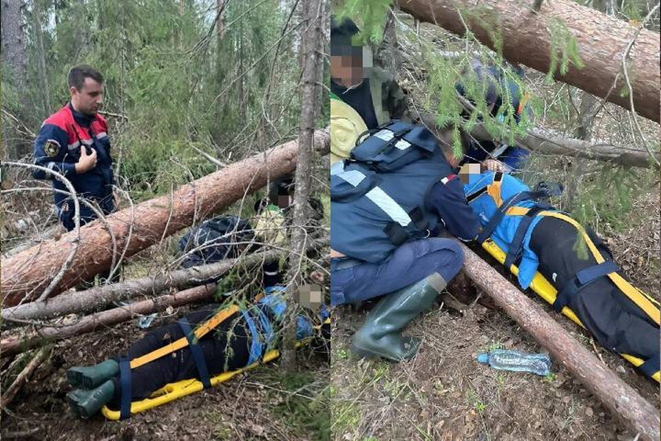     Спасатели вынесли пострадавшую женщину из леса в Ленобласти / Фото: Аварийно-спасательная служба ЛО