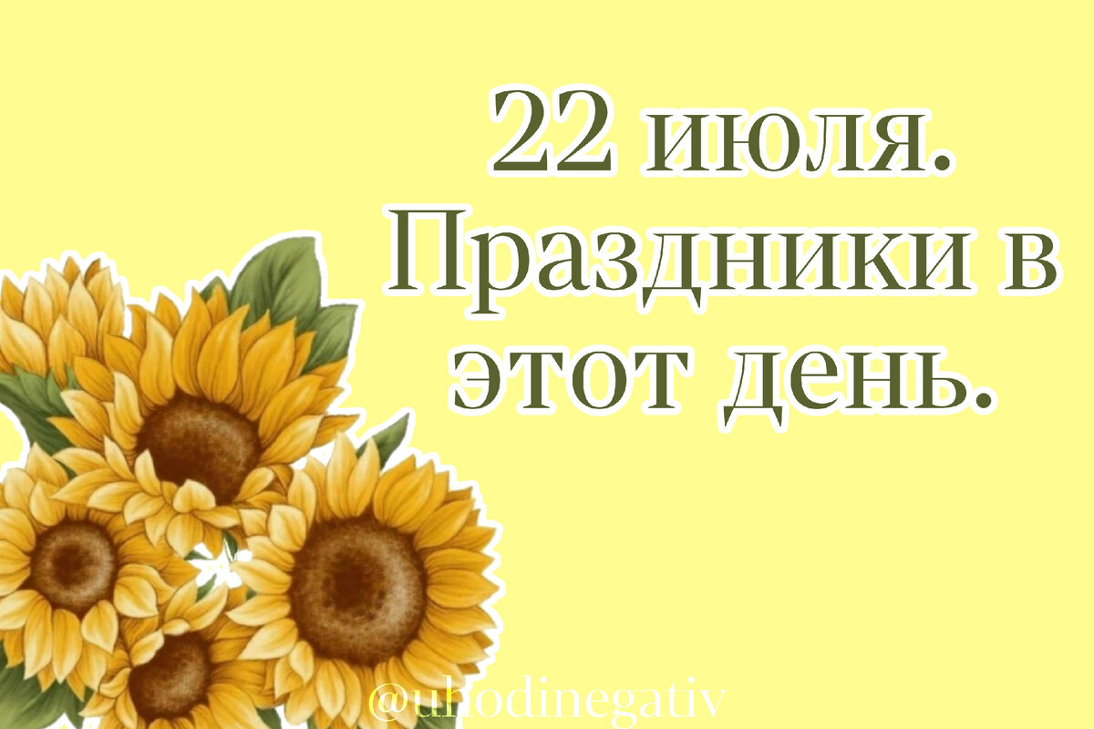 Фото: Анна Салтаганова.