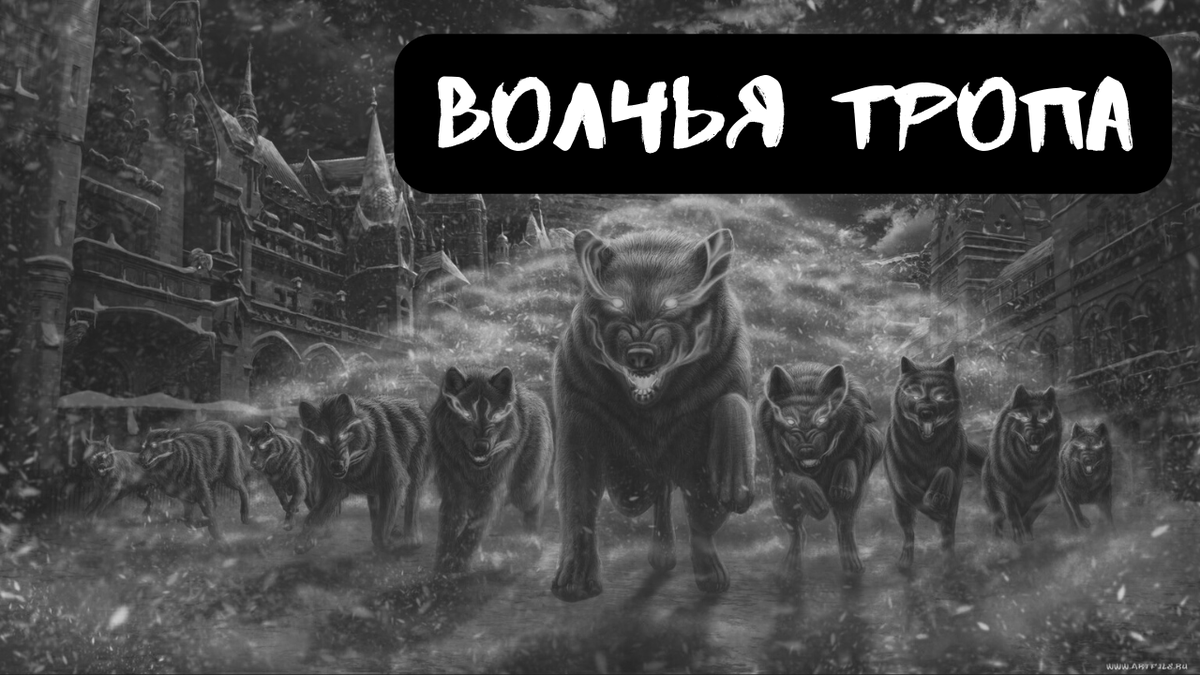 Волчья тропа | Страшилки от Чеширки | Дзен