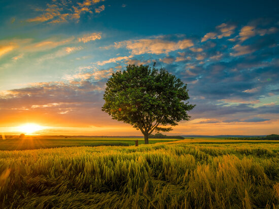     Фото с сайта freepik.com