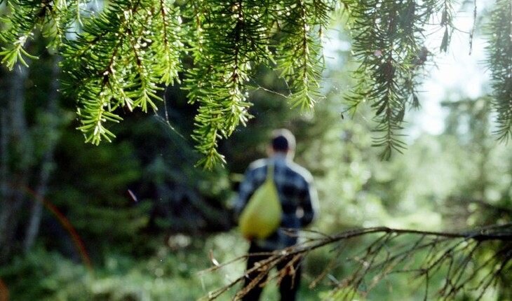    Как не потеряться в походе за грибами?