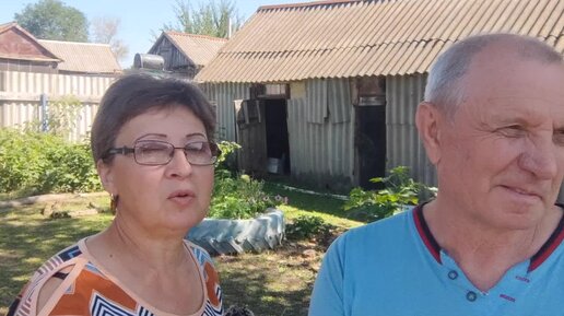 КЕМ МЫ РАБОТАЛИ / ЗАЧЕМ САЖАЮ СИДЕРАТЫ / НАШЕСТВИЕ ТОМАТОВ ПРОДОЛЖАЕТСЯ ...
