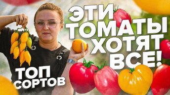 ТОП ТОМАТОВ от #СеменаАлтая. ЦЫПОЧКА, НАСТЕНЬКА, КУЛЕМА, СТЕРЛЯДЬ, ЙЕТИНА МАТЬ и другие ЛЮБИМЫЕ СОРТА