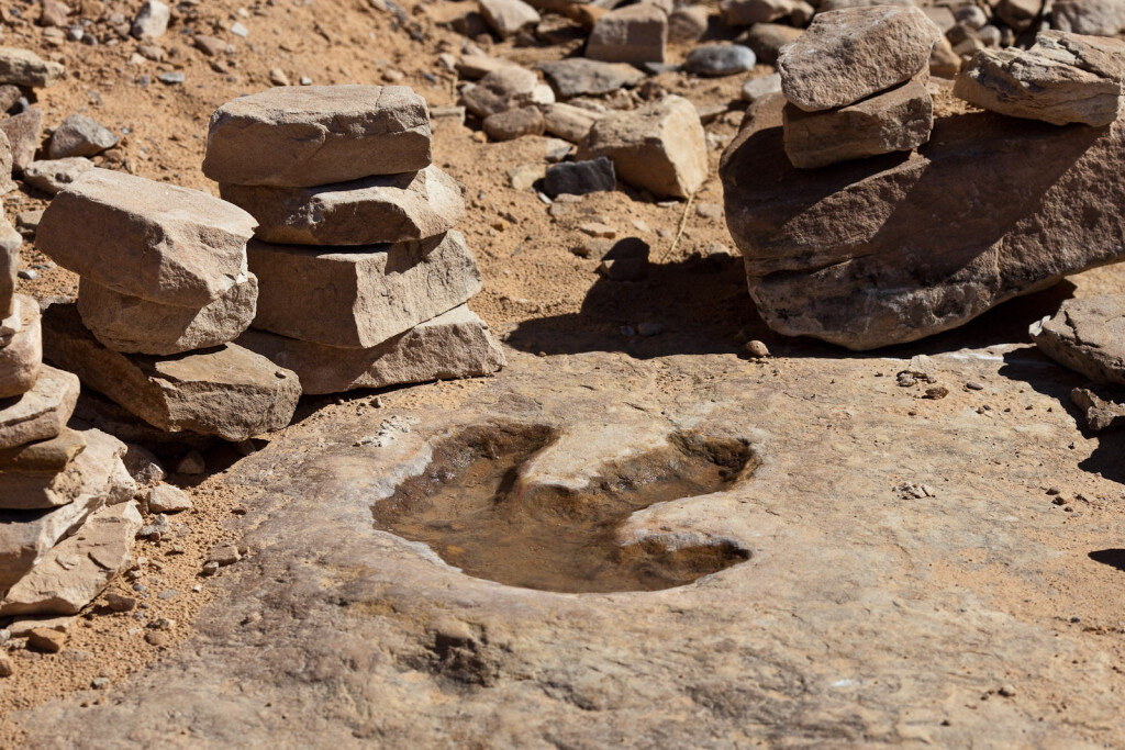    Dinosaur footprint Анастасия Никифорова