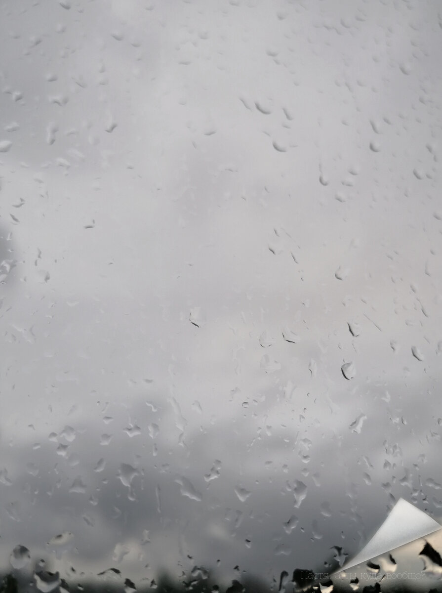 Типичный августовский пейзаж за окном 😁