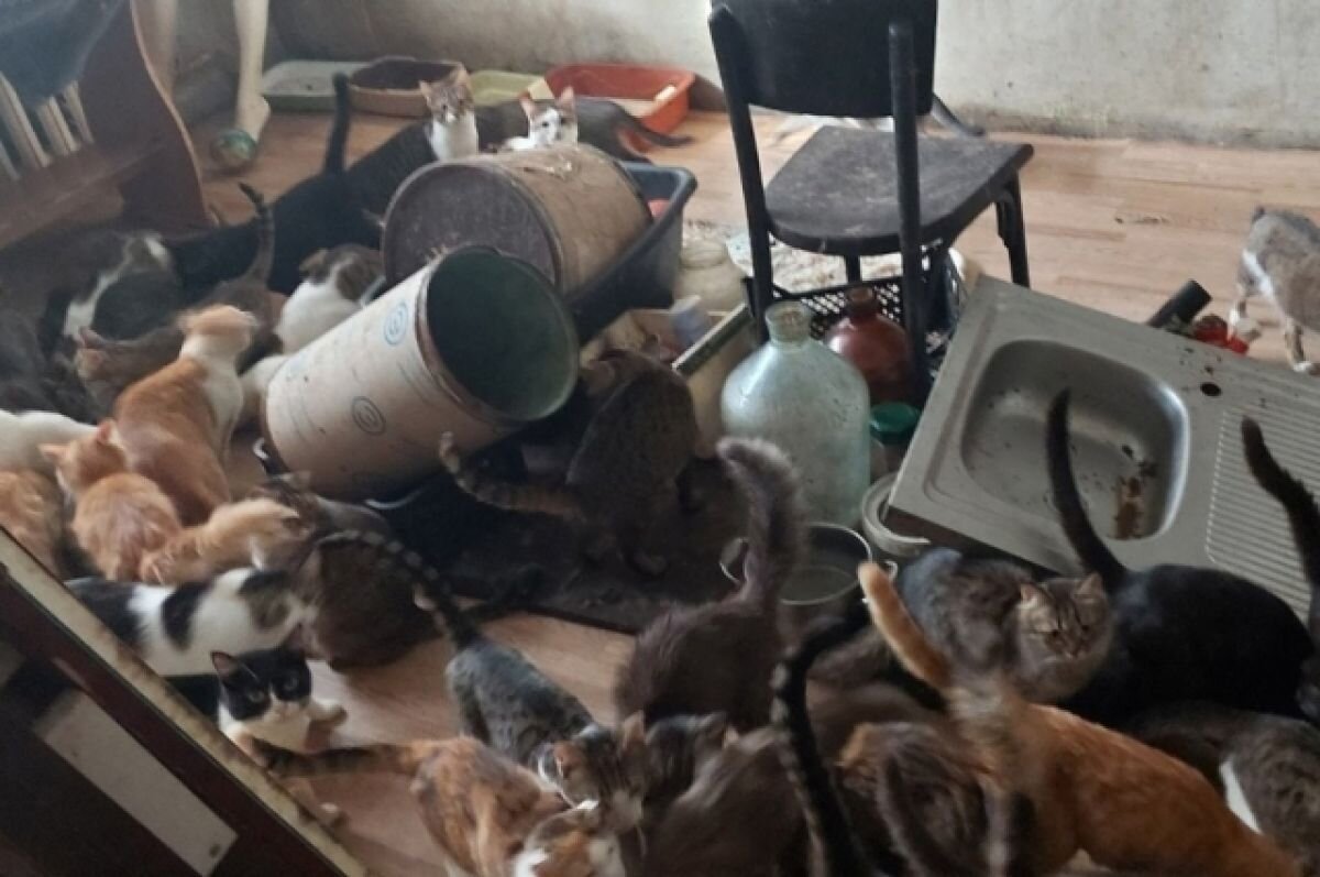 Значение зоозащитников