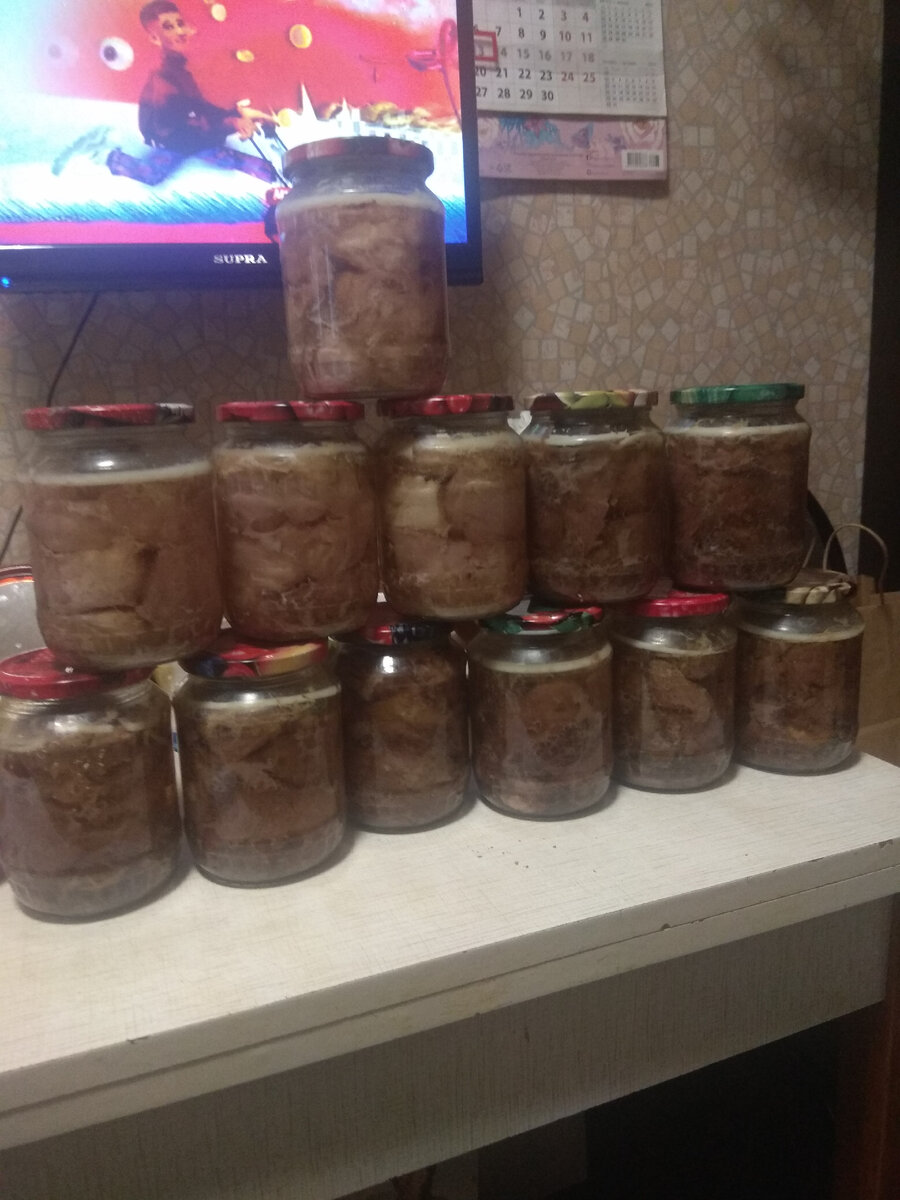 Не плохой результат.Ни одно Моё животное не пострадало .