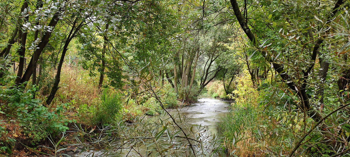 В парке Яуза. Фото автора блога.