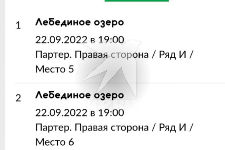     Билеты были куплены на места для инвалидов. Фото: предоставлено Еленой