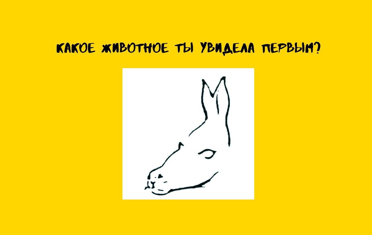 Тест какой зверь живет внутри тебя. Тест какое вы животное в постели. Какое животное внутри тебя тест. Мифические животные по знакам зодиака. Оптическая иллюзия лев.