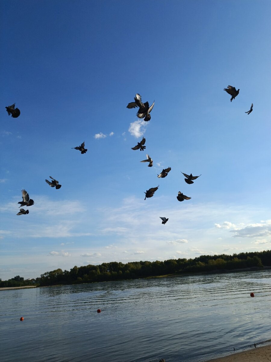 Кадр "Застывший танец"