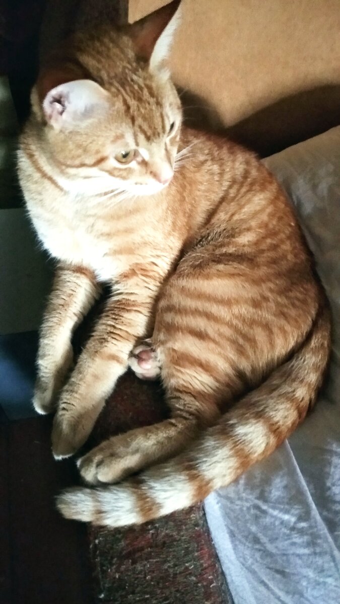 Личное фото.  